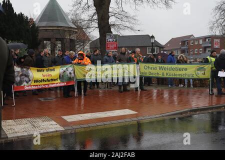 Schafe, Loup, gerissen, Löningen, Cloppenburg, Bauern, démo, Ministerpräsident Stephan Weil, Agrarpolitik. Lämmer, tot, Banque D'Images