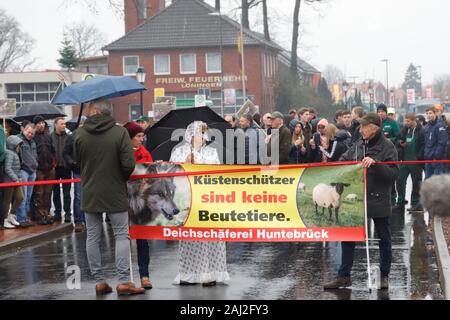 Schafe, Loup, gerissen, Löningen, Cloppenburg, Bauern, démo, Ministerpräsident Stephan Weil, Agrarpolitik. Lämmer, tot, Banque D'Images