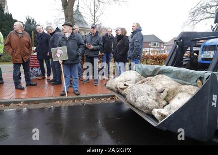 Schafe, Loup, gerissen, Löningen, Cloppenburg, Bauern, démo, Ministerpräsident Stephan Weil, Agrarpolitik. Lämmer, tot, Banque D'Images