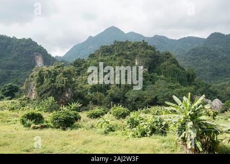 Paysage à l'entrée de la grotte de Tham Luang près de la ville de Mae Sai, à la frontière avec le Myanmar dans la province de Chiang Rai dans le Nord de la Thaïlande. Tha Banque D'Images