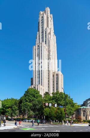 La cathédrale de la tour d'apprentissage à l'Université de Pittsburgh, quartier d'Oakland, Pittsburgh, Pennsylvanie, USA Banque D'Images