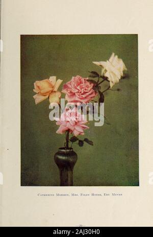 La Société de la Rose Annuelle de l'Ontario -- 1914 . M. J. T. MooreHon. Le président, S.R.O. -30- Plateau Roses. (Plus délicates, mais vaut la peine d'essayer).Lady Hillingdon-Jaune, réussi à Toronto.Mmnan Cochct-Soft rose. Gloire de Dijon-ombre jaune Saumon, un grand rose. Successfulin Toronto. W. A. Richardson-orange, jaune, très beau. Seul les thés hybrides. Élégance irlandais-Orange scarlet.Harmony-irlandais jaune safran.modestie irlandais-Coral pink.Beauté irlandaise-blanc pur. Randonneurs et Wichuraiana Roses. (Pour arcs, piliers ou traînant sur les banques).Crimson Rambler-Scarlet.Philadelphia Rambler-semblables, plus tôt.Hiawa Banque D'Images