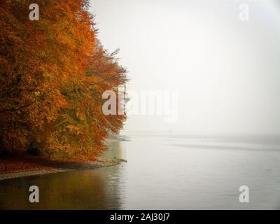 Lac de Constance en Europe sur un après-midi brumeux de l'automne. Pas sursaturé, vous pouvez augmenter la saturation en cas de besoin. Banque D'Images