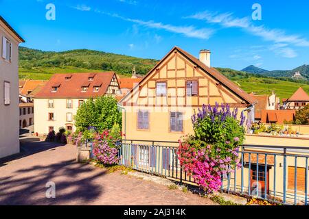 Rue avec maisons traditionnelles en célèbre Hunawihr village avec des vignes en arrière-plan, des vins d'Alsace, France Banque D'Images