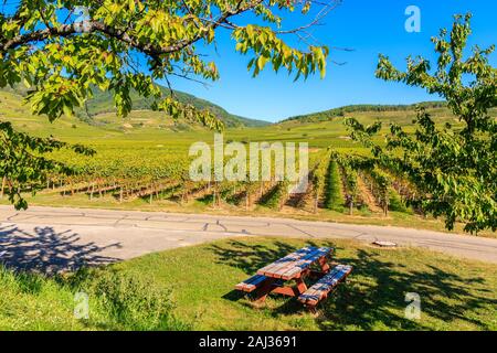 Table de pique-nique dans le parc le long de la route à vélo et vignobles près du village de Kaysersberg, Alsace, France Banque D'Images