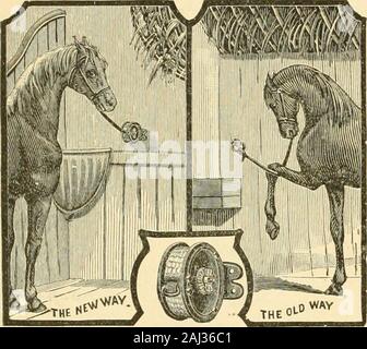 Marchandises : faisceau fin gazon, selles, trot et tenues running horse . semaines et la tête, blanc menant web rein, plaqués/860 Brides étalon de lumière.no 647. La lumière aux étalons Bridle. Blanchie blanc, chamois ; pouces joues, nickel, plomb web blanc boucles rein, de 7 pieds de long, avec de grosses touches $ 600 No ii4S. Patte d'étalon de lumière. Beau cuir russet, Londres, tache | pouces joues bronzées, de nickel ou de boucles, de 7 pieds (rein, avec plomb grand bouton 500 Remarque. Bits pas incluJed aru dans les prix ci-dessus. Nous vous furnisb line English ou American Bits en fonction de l'autre le sang ou projet d'stallionbridles à SU.i Banque D'Images