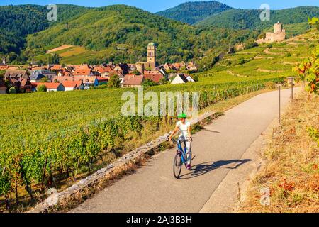 Jeune femme à vélo sur route le long des Vignes de Riquewihr à Kaysersberg village, Alsace, France Banque D'Images