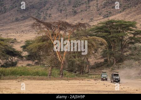 Jeep Touristis dans la Ngorongoro Conservation Area, Tanzania, Africa Banque D'Images