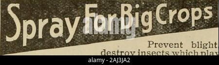 La culture de l'abeille . Le Lexington est situé juste à l'extérieur de l'entreprise theconeested tenminutes district, mais à monter sur deux lignes électriques qui passthe hôtel. Nous avons trois ol les meilleurs cafés de la ville,et les prix sont raisonnables. Nous écrire pour une brochure ou pour effectuer une réservation. M. & M. Hotel Company, propriétaires, T. C. Souche, Manager. La culture de l'Abeille. Banque D'Images