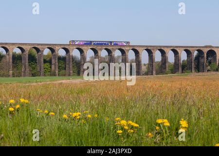 Classe 144 arriva Northern Rail train Penistone stimulateur avec un viaduc train Sheffield - Huddersfield Banque D'Images