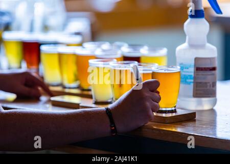 Man main tenant un stylo prochain vol de plaisance de quatre bières différentes lunettes sur plateaux en bois et bouteille de produits chimiques en gros plan, arrière-plan de la salle de dégustation de bière Banque D'Images