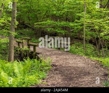 Nature Trail, un chemin de randonnée, serpentant à travers forêt de nature conservation park. Maisons en bois rond d'eau pont Banque D'Images