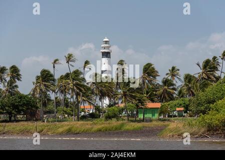 Palmiers et noir et blanc Preguiça en phare, Maranhão, Brésil Mandacaru Banque D'Images