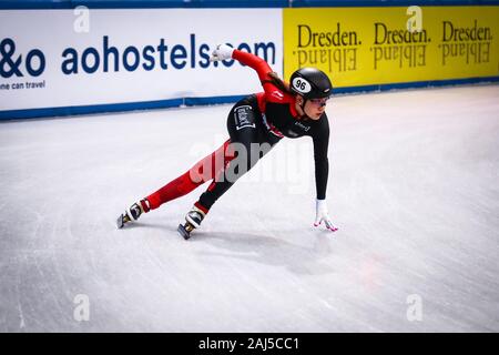 Dresde, Allemagne, Février 03, 2019 : Danijela Ivandic du Canada livre concurrence au cours de l'ISU de patinage de vitesse sur courte piste Championnat du Monde à Dresden Banque D'Images