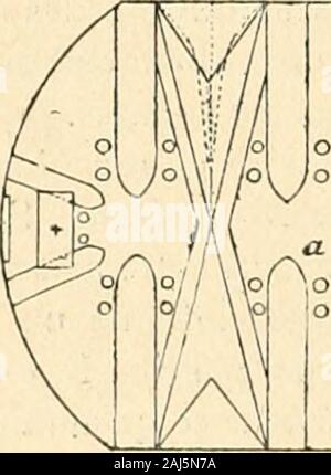 Revue de l'art chrétien . mensions : ^ 40 C. m. de hauteur, 313^ de dia-mètre. Au milieu de la plus grande convexité 11c. m. au diamètre du goulot 18 diamètredans^ y de la base, 5 m. m. dépaisseur. Tous ces vases se trouvent dans le chœur(presbiterium) près des fenêtres ; they are major attachment claimant. o o )J A o o Co Banque D'Images