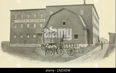 Troisième catalogue annuel des monogrammes incubateur à CO . WAYLAND, N. Y.1899 Copyright, 1898, par l'entreprise. INCUBATEUR MONOGRAMMES Appuyez sur d'Édouard STERN & Co., Inc. de Philadelphie. Banque D'Images
