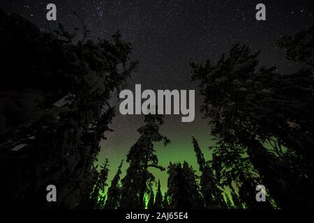 Northern Lights vu en Laponie, Finlande Banque D'Images