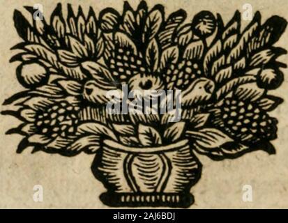 Avrevm vellvs, oder, Guldin Schatz und der darinnen Kunst-Kammer fürnemisten : aller, fürtreffenlichsten ausserlesenesten herrlichisten, bewehrtesten, und Bücher und Schrifften Auctorum, aufs gar dem uberblibnen uralten der Schatz, verborgnen hinderhaltenen Reliquien Monumenten, und der Aegyptiorum, Arabum, Chaldaeorum Assyriorum Königen und & Weysen .  %Tm* Splendor Solis. "97  %esi* Banque D'Images