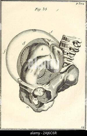 Observations importantes sur le manuel des accouchemens primiere [-seconde] partie : ou l'on trouve tout ce qui est necessaire pour les opérations, . Banque D'Images