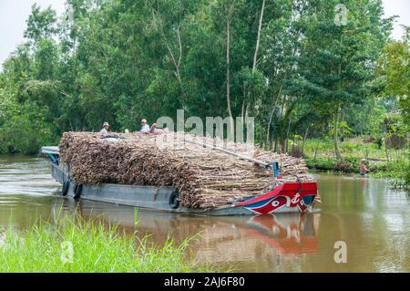 Delta du Mekong, Vietnam ; 1 décembre 2008. Cargo transportant les arbres cajeput passant à travers le delta du Mékong. Banque D'Images