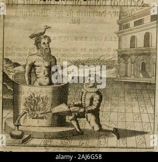 Avrevm vellvs, oder, Guldin Schatz und der darinnen Kunst-Kammer fürnemisten : aller, fürtreffenlichsten ausserlesenesten herrlichisten, bewehrtesten, und Bücher und Schrifften Auctorum, aufs gar dem uberblibnen uralten der Schatz, verborgnen hinderhaltenen Reliquien Monumenten, und der Aegyptiorum, Arabum, Chaldaeorum Assyriorum Königen und & Weysen . Splendeur JDie Solls.^etcstJ m I imm^ü 18 ? "Mauvais ^^., !S>k ©il^mW ? ^nuö ©ki. Banque D'Images