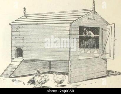 Wrinch & Sons meubles de jardin et d'autres conditions nécessaires. . Span-Roof Portable poulaillers.. l !je poux arc construit de bonne et saine de.t et mortaises , la racine vered avec Ted à l'arrière pour enlever e^. nula nd lig] J'ai dans le pignon* : la parole elle lungesand hjudi roog nee fil trou obturateur h Eliding avec cordon une Tllcl je sentais l pul il 1 I i c à togeil je vis sont facilement erecte nation. ... De bonne huile colori u 1 lttnewaah&lt ; 6e prix au comptant du nid-(Ca- 141 12 ibout fowli UN 0817 S. 61 5ft * 810 si monté sur irhec j ; Q , f&Lt ; j'o 0 o w e d'assurance-chômage. C'tan, l : j'Reader Portable Realo couverts Ru Banque D'Images