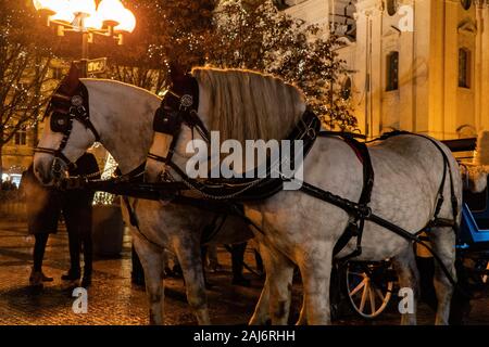 Prague, République tchèque 2019 : transport de chevaux dans le parc dans le marché de Noël Banque D'Images