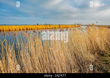 Vue sur la rivière Yare dans Acle sur les Norfolk Broads Banque D'Images