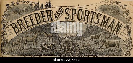 Source et sportif . &Lt;U a. z a o # u QQ CD n &lt;r 8© u •O D O C/3 -1 m en ?* ca a i DC 1 &Lt ; je N B &Lt ; - X (II  = un comme s  = z© Z &Lt ; -1&Lt ; Du Pont de la poudre à fusil tourné sans fumée et GTJN Poudre noire poudre militaire pour des fins sportives et de dynamitage de la réputation d'une centaine d'années de la garantie ia DU PONT EN POUDRE c A. BAIGHT. Aeent - - - 326 Market Street, San Francisco I. VOL. XXVIH. N° 11.36 Geary Street. SAN FRANCISCO, Samedi, Mars 16, 1901. SUBSCRIPTIONTHREE DOLLARS UNE LARME Banque D'Images