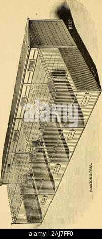 Les Furets : leur gestion dans la santé et la maladie, avec des remarques sur leur statut juridique . Fig. 15. Cours de triage ou dans les bancs 45 mètres ne sont pas nécessaires, pas plus que les portes d'intérieur re-quis pour ouvrir si le sidesof les lits sont soulevées et assez haut placée sur chaque alid, qui est l'courseusually adopté. Glisser un bac ou falsebottom doivent être installés sur chaque interiorcompartment andthorough pour faciliter le nettoyage, la ventilation doit toujours beprovided. Ces chantiers ne sont pas aussi arule utilisés pour l'élevage, ils ne sont pas non plus de travail pour les furets lors de l'utilisation, comme theytend de rendre les animaux d'un sauvage Banque D'Images