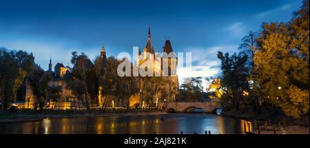 Château de Vajdahunyad à Budapest la nuit Banque D'Images