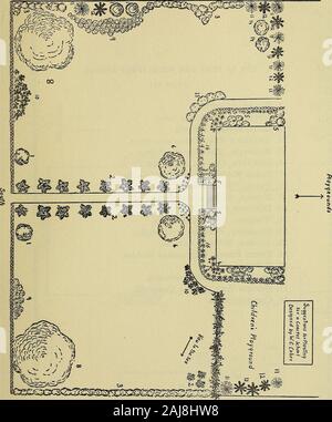 La conception et l'amélioration des cours d'école . PLAN DE CLÉS POUR UNE ÉCOLE PRÈS DE LA CÔTE (planche 13) 1. L'Osmanthus, Olive américain americanus. 2. Palmetto Sabal Palmetto,. 3. Yopon, Ilex vomitoria. 4. Baïonnette espagnole, Yucca Gloriosa. 5. Wax Myrtle, Myrica cerifera. 6. Magnolia, Magnolia grandiflora. 7. Eose Cherokee haie sur Barrière, Rosa laevigata. 8. Live Oak, Quercus virginiana. 9. Oléandre, Nerium oleander. 10. Le Tamarix gallica. 11. Le cèdre, Jwniperus virginiana. 12. Pine, Pinus taeda. 13. Le Yucca, Yucca aloifolia. 14. Le cornouiller, le Cornus florida. 15. Thé, Camellia thea. 16. Lupin, Lwpinus perennis.. De clés Banque D'Images