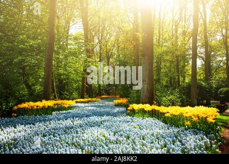 Vue sur la rivière de fleurs dans un beau parc de Keukenhof sous ciel bleu au cours de l'exposition annuelle Banque D'Images