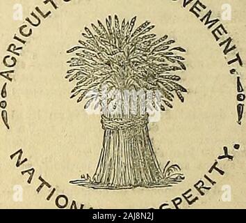 La Chronique des jardiniers et agricoles Gazette . et avis. GUANO de potiers, fréquenté par Sir R. Peel :;le duc de Northumberland ; les comtes d'Essex et Zet-land ; Seigneur Orton ; Seigneur Portman ; Sir John Lubbock ?D. Barclay, Esq., député ; P. Pusey, Esq., M.P., &.c. &C. Mr Potter, a réduit le prix de son GUANO à 01. par tonne, livré gratuitement à n'importe quel quai ou de fer à Londres, bagsincluded. Termes, l'argent comptant. Si cinq tonnes sont commandés, il sera livré gratuitement à anyWharf ailway ou Px.dans la station de Jales 100 St. Pauls, ou tOany Port Principal ot du Royaume-Uni. Prudence.-il venu Banque D'Images