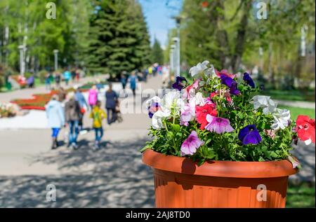 Street pot avec des fleurs sur l'arrière-plan de personnes passant par dans un parc vert urbain culturel pour la marche et les loisirs Banque D'Images