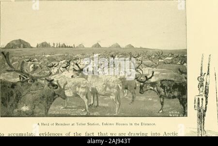 L'Alaska, ses eaux, à la terre et de la vie ; une conférence illustrée . Mer de Béring et l'océan gelé. 13. Banque D'Images