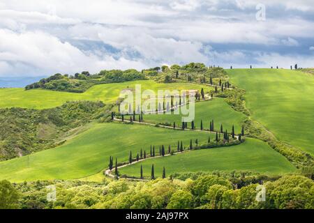 Paysage rural toscan avec vue sur une route sinueuse sur une colline Banque D'Images