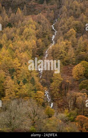 Bel Automne Automne paysage de mélèze forêt avec cascade et la rivière qui coule à travers de haut en bas de l'image Banque D'Images