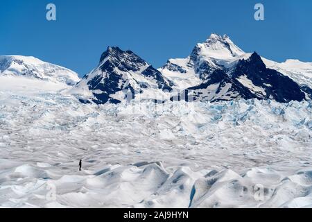 Homme debout sur le célèbre glacier Perito Moreno, près d'El Calafate en Argentine, Patagonie, l'Amérique du Sud. Banque D'Images