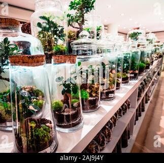 Centre de mola, La Rinascente Banque D'Images