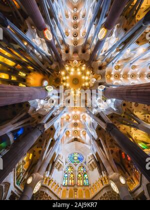 Interiors repère architectural de la Sagrada Familia, conçue par l'architecte catalan Antoni Gaudi à Barcelone, Espagne. Banque D'Images