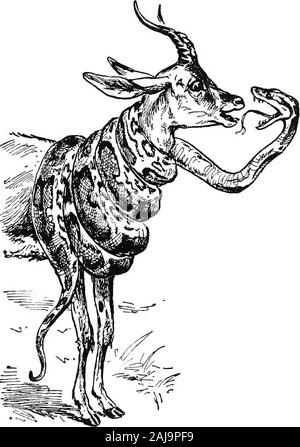 Le garçon aux cheveux bouclés . Toutes les choses qui avaient vu Etienne mère entassés inmany-pyramides de couleur plus grocerj^^ magasins. Elle^ Realh trop ridicule.-Miss Booum doit avoir été faire funof son visiteur.-que couldnt vraiment être la meilleure nourriture pour les chameaux. Mère ETIENNE S DEEAM 77 c'était encore pire quand il est venu à la tour de l'hippo-Potamiá. Un millier de mauvais souvenirs du digéré illus-tré papiers étaient dans son esprit, tous mélangés. Où l'a fait. "-. Vi" le Nil et le débit de Zanzibar ? Qui est-ce qui separatedEgypt du Sénégal ? Et l'hippopotame gigantesque, regardez-ing parfaitement hug Banque D'Images