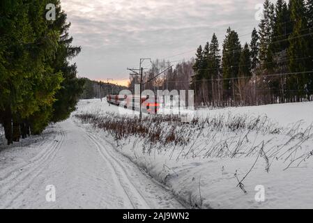 Promenades en train de passagers au moyen d'une forêt enneigée. Voyager en train. Vue d'hiver et de fer. Concept du tourisme Banque D'Images