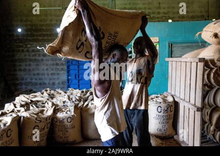 Les travailleurs de cacao chargement d'un sac dans Abidjan, Côte d'ivoire Banque D'Images