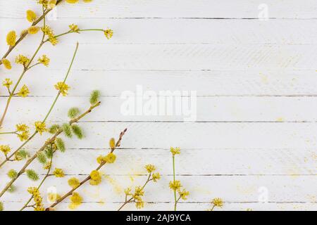 Arrière-plan de printemps avec branches fleuries de saule, cornouiller blanc sur fond de bois with copy space Banque D'Images