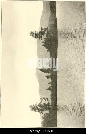 Au nord d'Bearcamp andragged ; . de l'eau décrit ce haut contre le ciel. Comme themists se précipita sur la pointe, ils d'suggestedsmoke Gibraltarof ce canon tiré de la nature. Ici et là d'épicéas, standingin les nuages sur le bord du précipice, ressemblait à la forme d'hommes dim. theheights gardiennage Comme l'eau était très faible, une étroite bande de pebblyand Rocky beach a offert une wayround facile le lac. Je l'ai suivi à travers l'est-ern criques de la rive nord, où le glissement-pery ledges, l'un au-dessus de l'autre, suspendu au-dessus de moi.De nombreux blocs rocheux de grande taille et quelques outlineslay sur la rive Banque D'Images