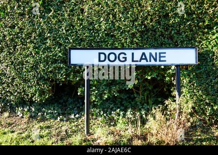 Nom De La Rue Dog Lane Dans North Notinghamshire, Royaume-Uni. Banque D'Images