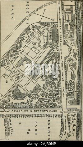 Londres et ses environs : un guide pratique pour la métropole et ses environs, illustré par des cartes, plans et vues . rs,qui sont très attrayants, et à quel prix pour un grand amountare distribué. Les jardins sont pris en charge par le subscriptionsof fellows et des membres dont le secrétaire, ^M. De CarleSowerby, qui réside dans le parc, vous donnera l'information. Theexhibition jours sont annoncés dans les journaux. Les jardins zoologiques, Regents P^amongstthe vrk, sont plus intéressants et des attractions touristiques de Londres. L'année 1860-61, le nouveau envahis de visiteurs s'élevait à 293 995. Ils être-long Banque D'Images