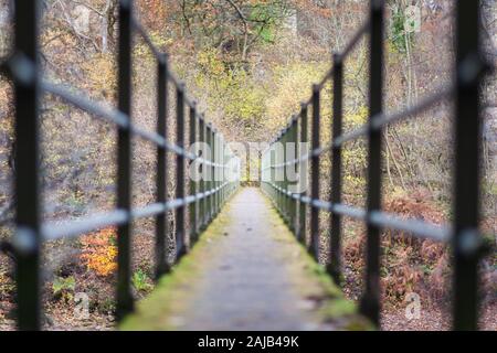 Passerelle avec rampes en fer près de Lambley Viaduc au-dessus de la rivière Tyne dans Northumberland, Angleterre du Nord-est. Banque D'Images