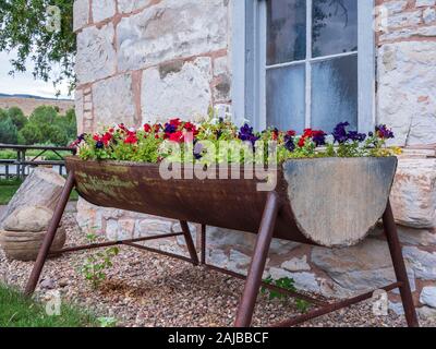 À côté du semoir de fleurs de la maison en pierre, propriété historique John Jarvie, Browns Park, Utah. Banque D'Images